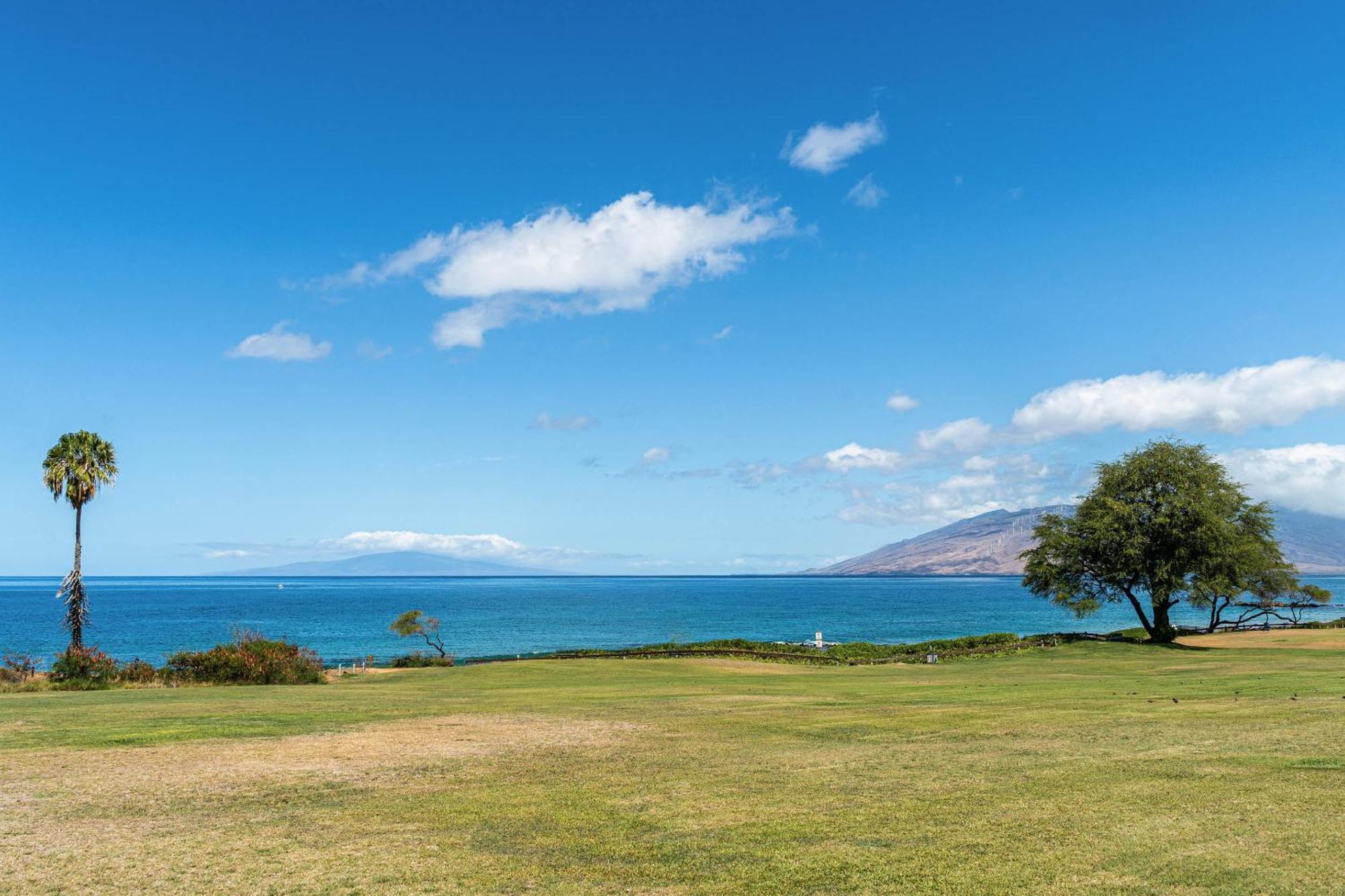 ワイレアMaui Banyan Q-109アパートメント エクステリア 写真